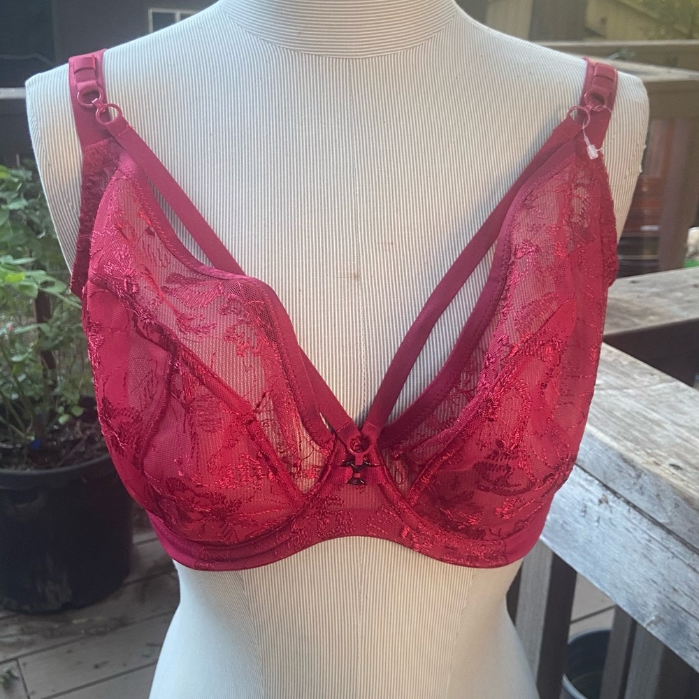 NWT 30HH Yasmin Plunge Cage Bra in Ruby